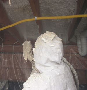 Prince George BC crawl space insulation